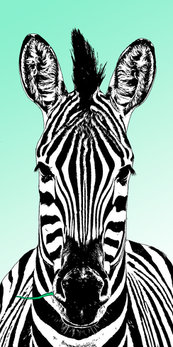 zebrahellgruen